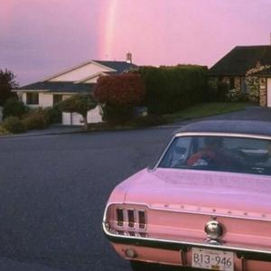 欧美性爱操逼视屏
