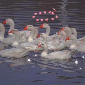 欧美性爱操逼视屏
