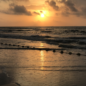 欧美性爱操逼视屏
